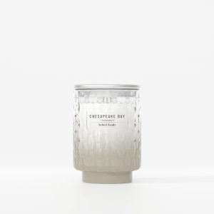 Salted Sands